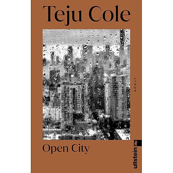 Open City, Teju Cole