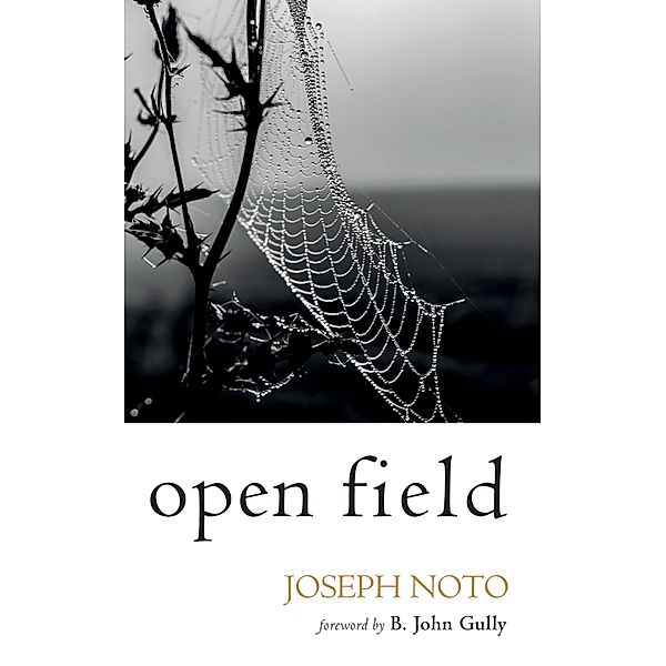 Open Field, Joseph Noto