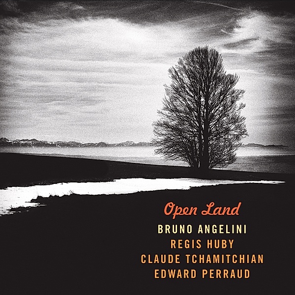 Open Land, Bruno Angelini