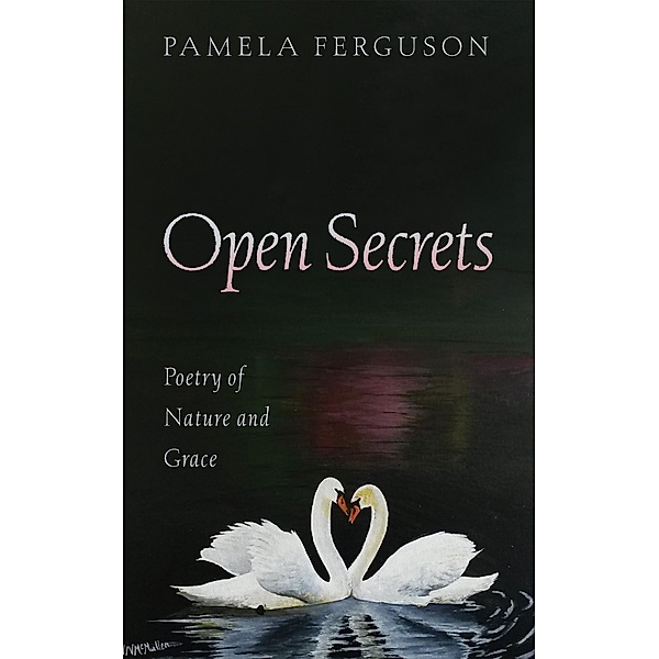Open Secrets, Pamela Ferguson