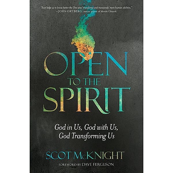 Open to the Spirit, Scot McKnight