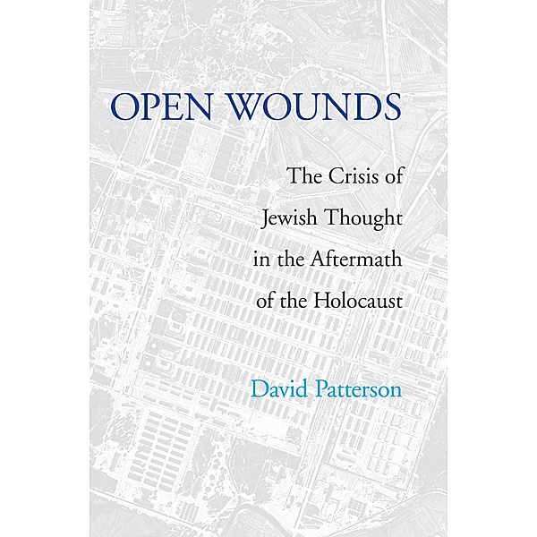 Open Wounds / Pastora Goldner Series, David Patterson