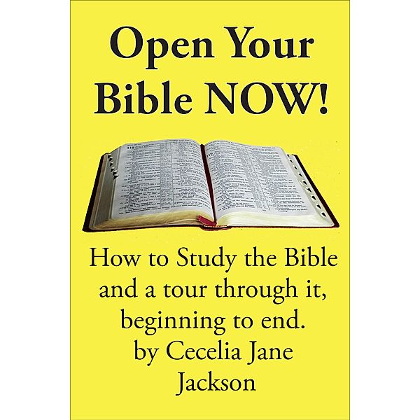 Open Your Bible Now! / Four Craftsmen Publishing, Cecelia Jane Jackson