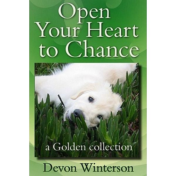 Open Your Heart to Chance: a Golden collection, Devon Winterson