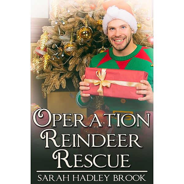 Operation Reindeer Rescue / JMS Books LLC, Sarah Hadley Brook