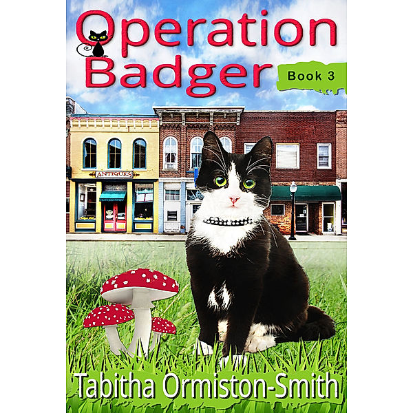 Operation Tomcat: Operation Badger, Tabitha Ormiston-Smith