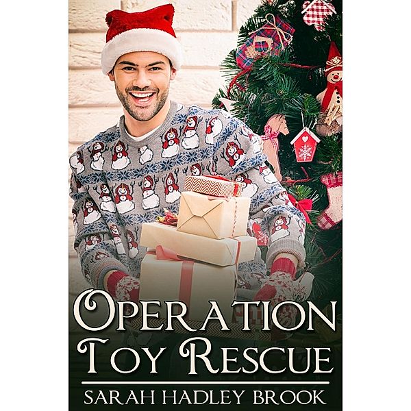 Operation Toy Rescue, Sarah Hadley Brook