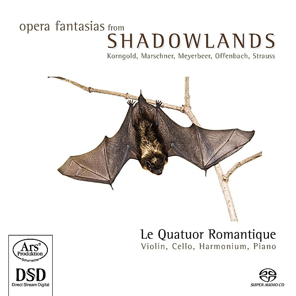 Opernfantasien Aus Der Schattenwelt, Quatuor Romantique