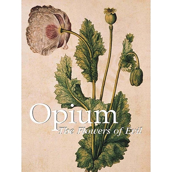 Opium, Donald Wigal