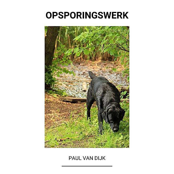 Opsporingswerk, Paul van Dijk