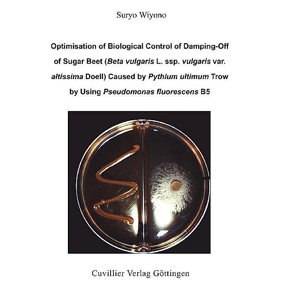 Optimisation of Biological Control of Damping-Off of Sugar Beet (Beta vulgaris L. ssp. vulgaris var. altissima Doell) Caused by Pythium ultimum Trow by Using Pseudomonas fluorescens B5