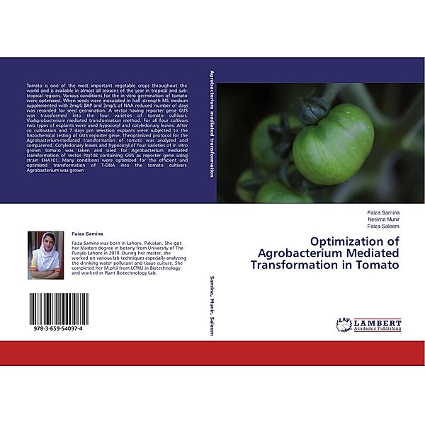 Optimization of Agrobacterium Mediated Transformation in Tomato, Faiza Samina, Neelma Munir, Faiza Saleem