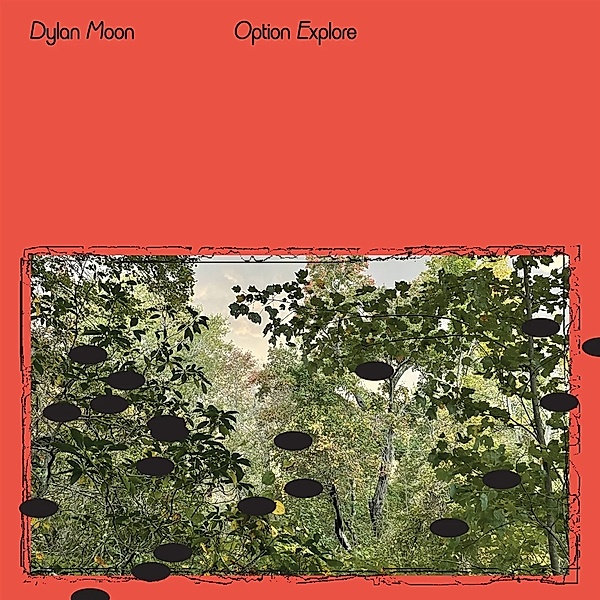OPTION EXPLORE, Dylan Moon