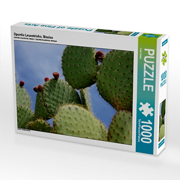 Opuntia Leucotricha, Mexico (Puzzle), Uwe Bade