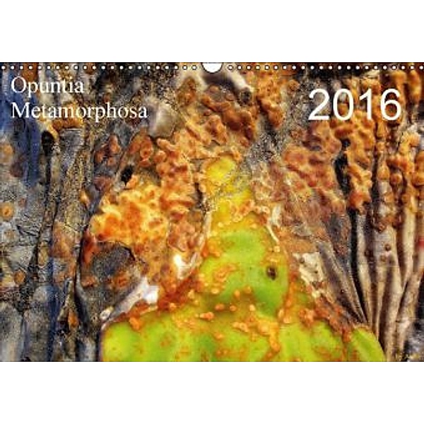 Opuntia Metamorphosa (Wandkalender 2016 DIN A3 quer), AnBe