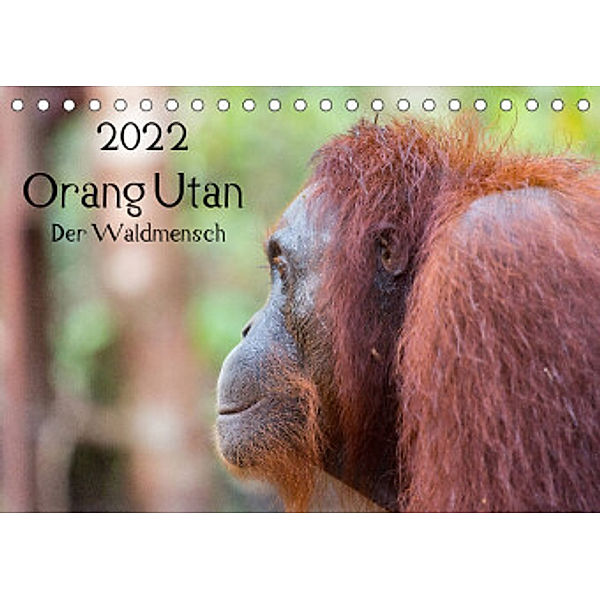 Orang Utan 2022 - Der Waldmensch (Tischkalender 2022 DIN A5 quer), Daniel Heiss Photography