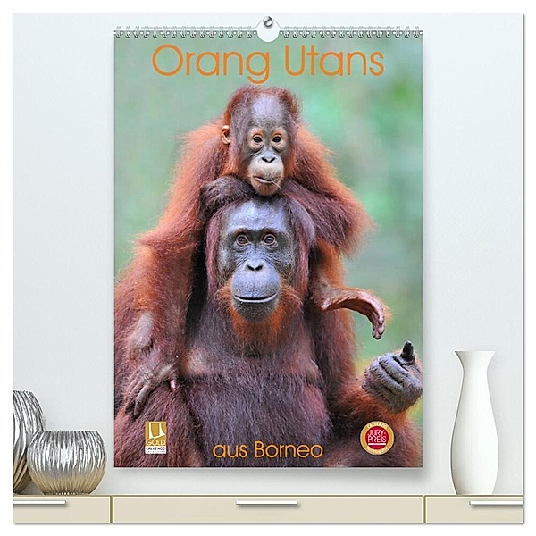 Orang Utans aus Borneo (hochwertiger Premium Wandkalender 2024 DIN A2 hoch), Kunstdruck in Hochglanz, Elmar Weiß