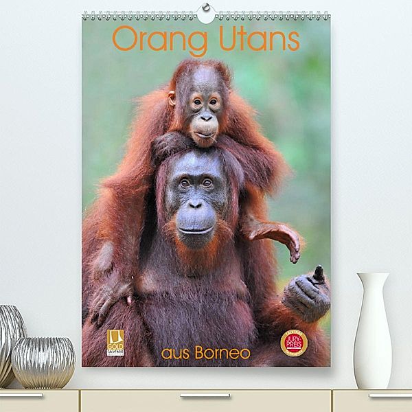 Orang Utans aus Borneo (Premium, hochwertiger DIN A2 Wandkalender 2023, Kunstdruck in Hochglanz), Elmar Weiß