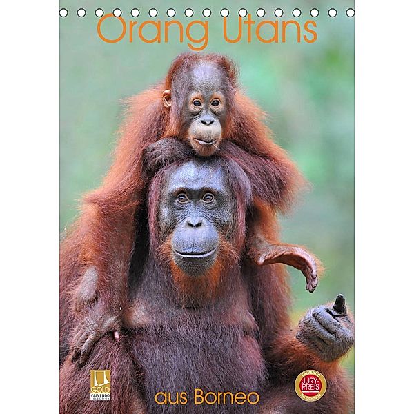 Orang Utans aus Borneo (Tischkalender 2023 DIN A5 hoch), Elmar Weiß