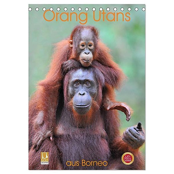 Orang Utans aus Borneo (Tischkalender 2024 DIN A5 hoch), CALVENDO Monatskalender, Elmar Weiss