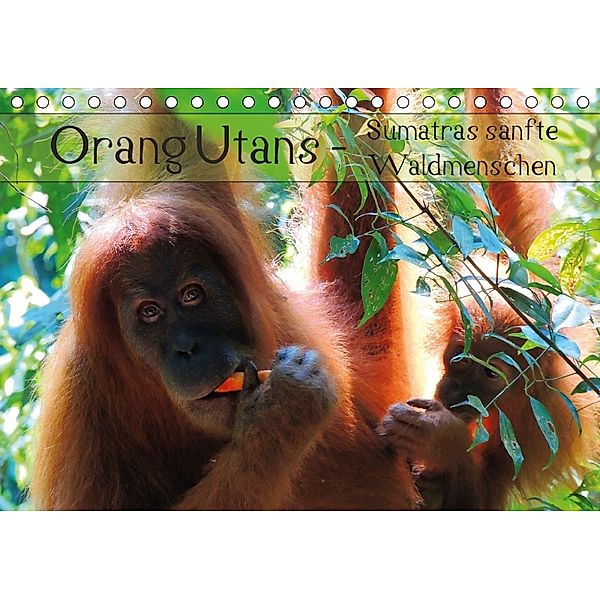 Orang Utans - Sumatras sanfte Waldmenschen (Tischkalender 2018 DIN A5 quer) Dieser erfolgreiche Kalender wurde dieses Ja, S. B. Otero