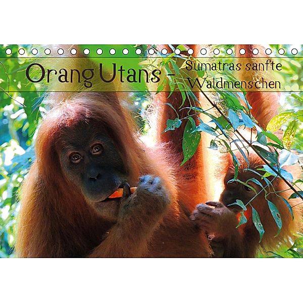 Orang Utans - Sumatras sanfte Waldmenschen (Tischkalender 2021 DIN A5 quer), S. B. Otero