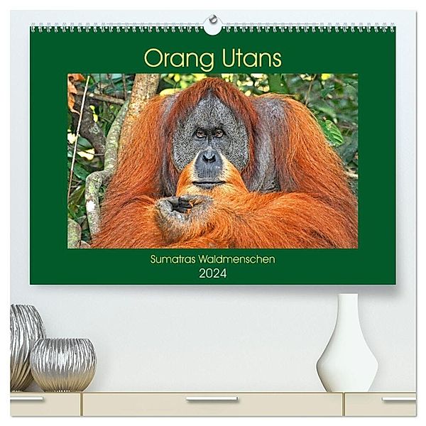 Orang Utans Sumatras Waldmenschen (hochwertiger Premium Wandkalender 2024 DIN A2 quer), Kunstdruck in Hochglanz, Anja Edel