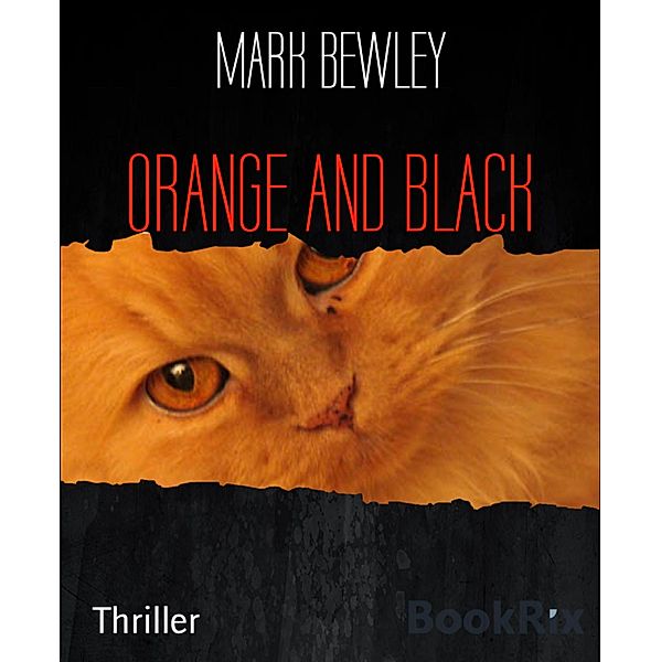ORANGE AND BLACK, Mark Bewley