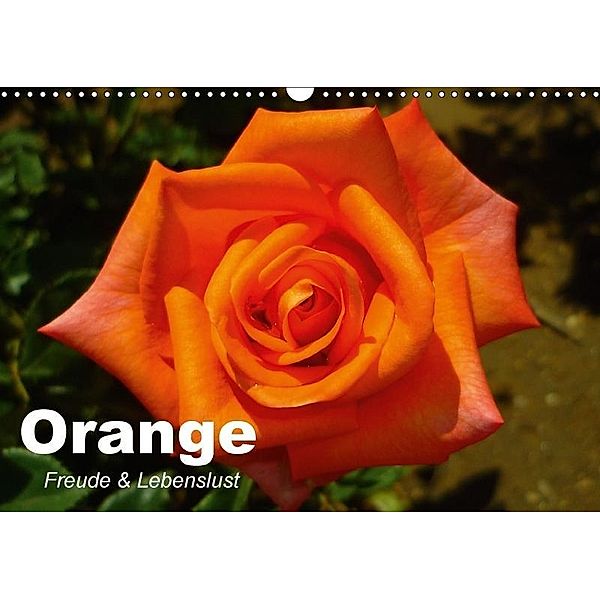 Orange. Freude und Lebenslust (Wandkalender 2017 DIN A3 quer), Elisabeth Stanzer