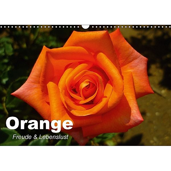 Orange. Freude und Lebenslust (Wandkalender 2018 DIN A3 quer), Elisabeth Stanzer