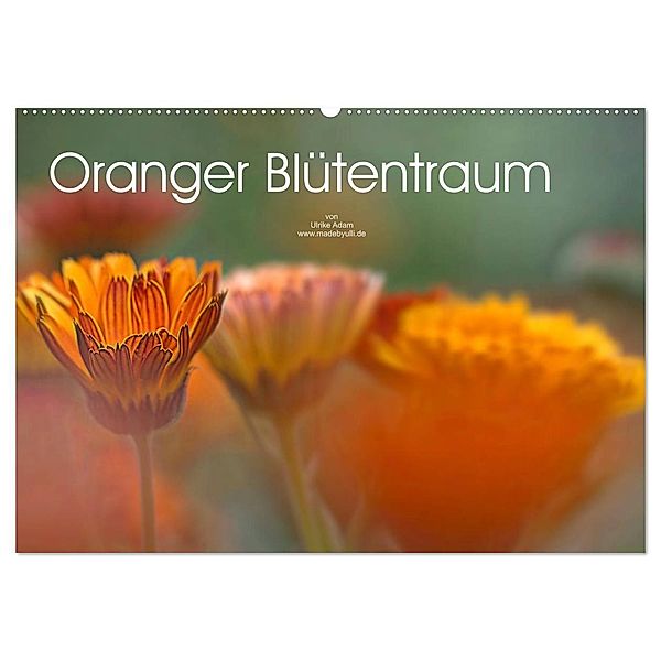 Oranger Blütentraum (Wandkalender 2024 DIN A2 quer), CALVENDO Monatskalender, Ulrike Adam