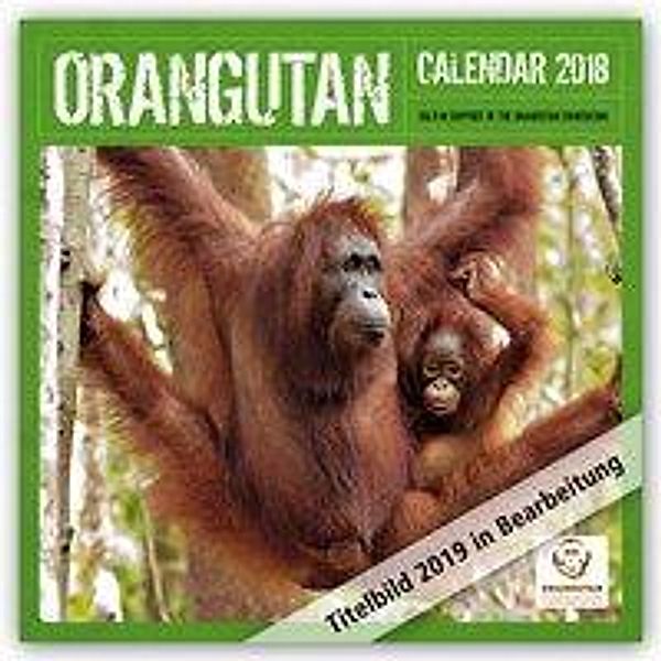 Orangutan 2019, Carousel Calendars