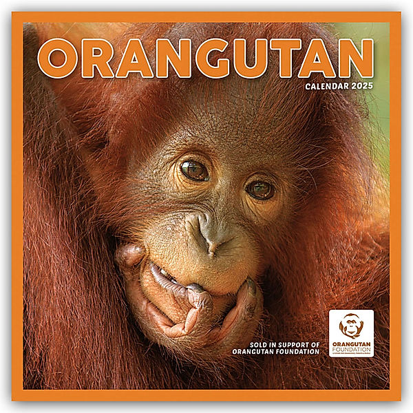 Orangutan - Orang-Utan 2025 - Wand-Kalender, Carousel Calendar