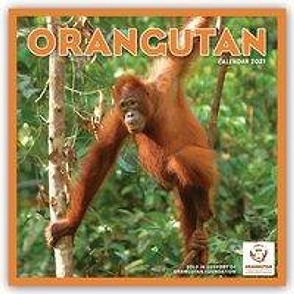 Orangutan - Orang-Utans 2021, Carousel Calendars