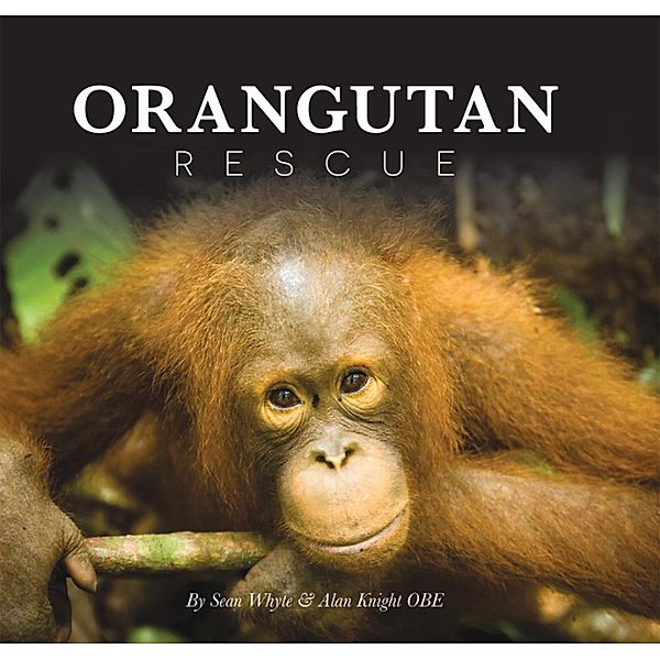 Orangutan Rescue, Sean Whyte