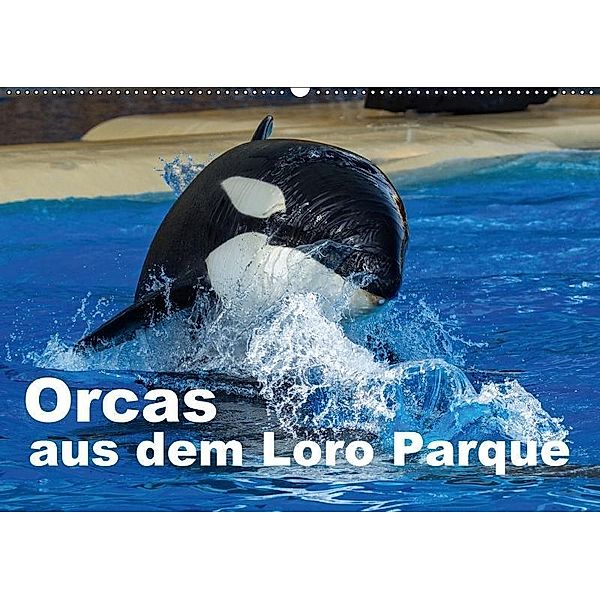 Orcas aus dem Loro Parque (Wandkalender 2017 DIN A2 quer), Ulrich Brodde