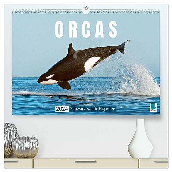 Orcas: Schwarz-weiße Giganten (hochwertiger Premium Wandkalender 2024 DIN A2 quer), Kunstdruck in Hochglanz, Calvendo