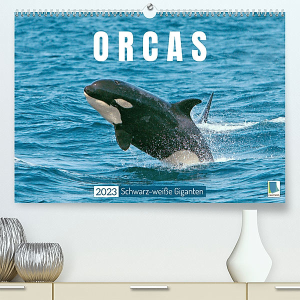 Orcas: Schwarz-weiße Giganten (Premium, hochwertiger DIN A2 Wandkalender 2023, Kunstdruck in Hochglanz), Calvendo