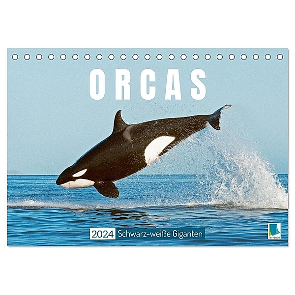 Orcas: Schwarz-weiße Giganten (Tischkalender 2024 DIN A5 quer), CALVENDO Monatskalender, Calvendo