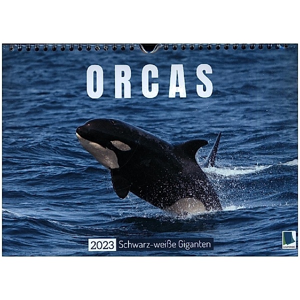 Orcas: Schwarz-weiße Giganten (Wandkalender 2023 DIN A4 quer), Calvendo