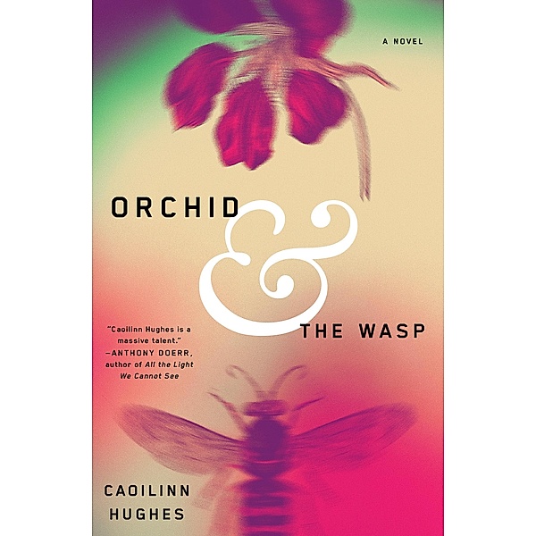 Orchid & the Wasp, Caoilinn Hughes