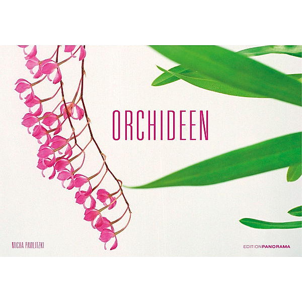 Orchideen, Micha Pawlitzki