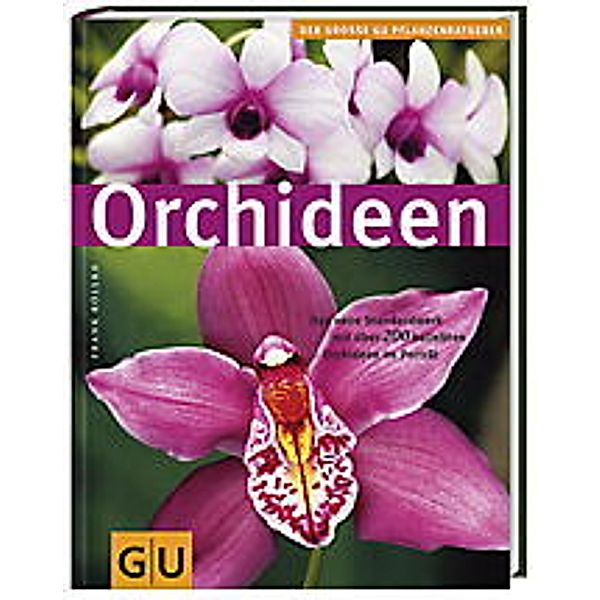 Orchideen, Frank Röllke