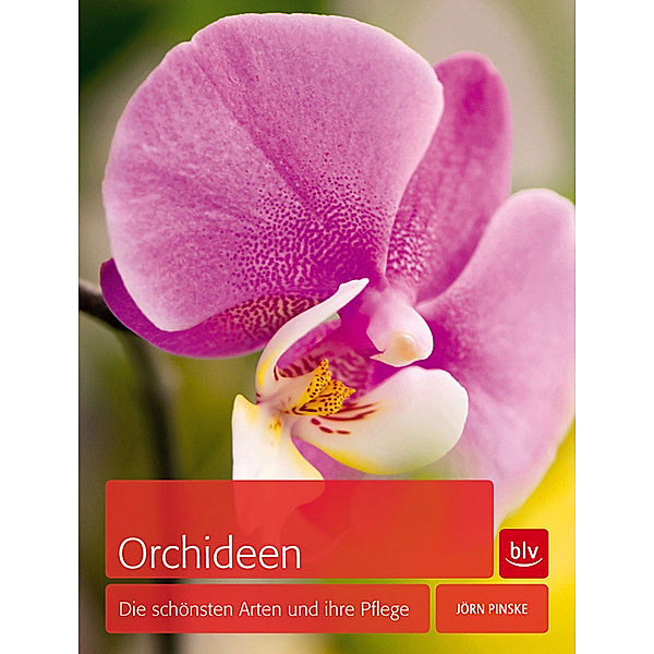 Orchideen, Jörn Pinske
