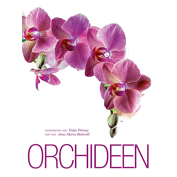 Orchideen, Fabio Petroni, Anna Maria Botticelli