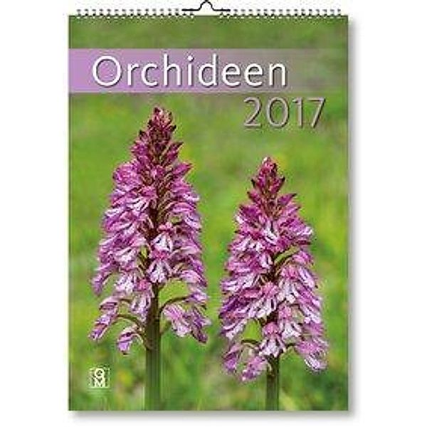 Orchideen 2017