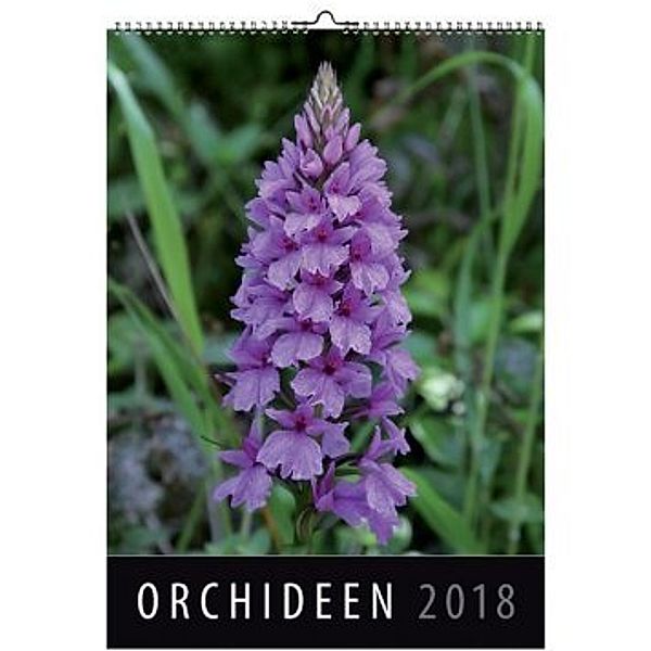 Orchideen 2018