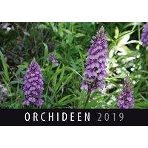 Orchideen 2019