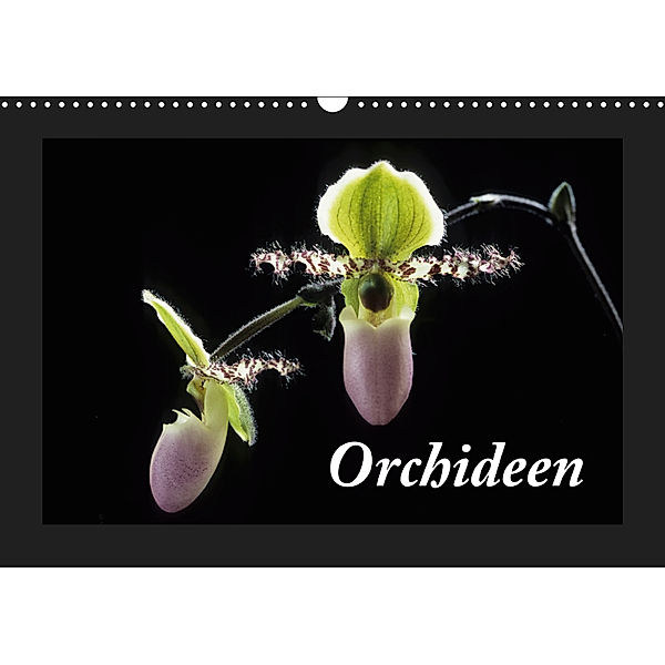 Orchideen 2019 (Wandkalender 2019 DIN A3 quer), kleber©gagelart