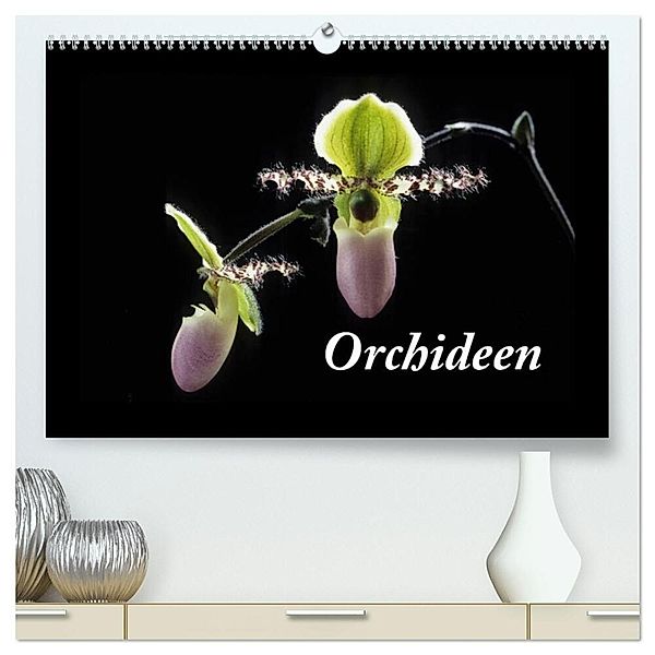 Orchideen 2024 (hochwertiger Premium Wandkalender 2024 DIN A2 quer), Kunstdruck in Hochglanz, kleber©gagelart